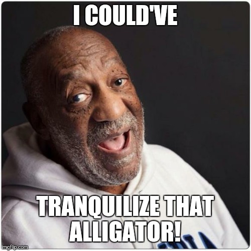 Bill Cosby Admittance | I COULD'VE; TRANQUILIZE THAT ALLIGATOR! | image tagged in bill cosby admittance | made w/ Imgflip meme maker