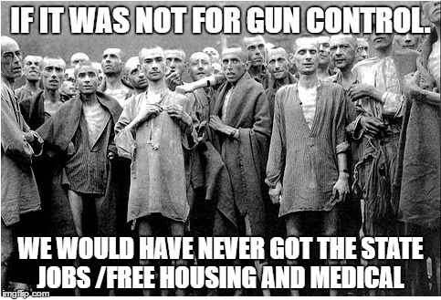 Holocaust  | IF IT WAS NOT FOR GUN CONTROL. WE WOULD HAVE NEVER GOT THE STATE JOBS /FREE HOUSING AND MEDICAL | image tagged in holocaust | made w/ Imgflip meme maker