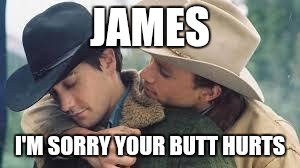 Brokeback Mountain | JAMES; I'M SORRY YOUR BUTT HURTS | image tagged in brokeback mountain | made w/ Imgflip meme maker