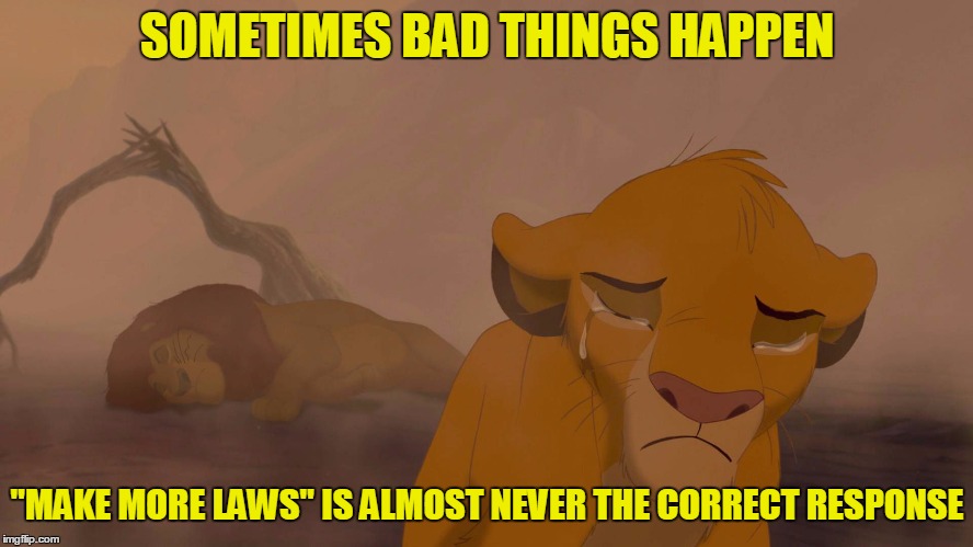 Knee-jerk Emotional Reactions make Bad Legislation | SOMETIMES BAD THINGS HAPPEN; "MAKE MORE LAWS" IS ALMOST NEVER THE CORRECT RESPONSE | image tagged in simba weeping,tragedy,legislation,reaction | made w/ Imgflip meme maker