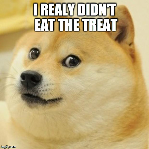 Doge Meme | I REALY DIDN'T EAT THE TREAT | image tagged in memes,doge | made w/ Imgflip meme maker