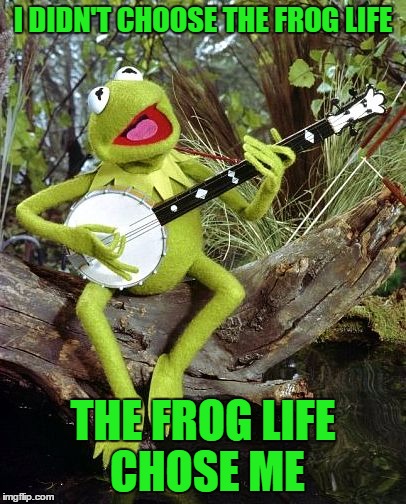 I DIDN'T CHOOSE THE FROG LIFE THE FROG LIFE CHOSE ME | made w/ Imgflip meme maker