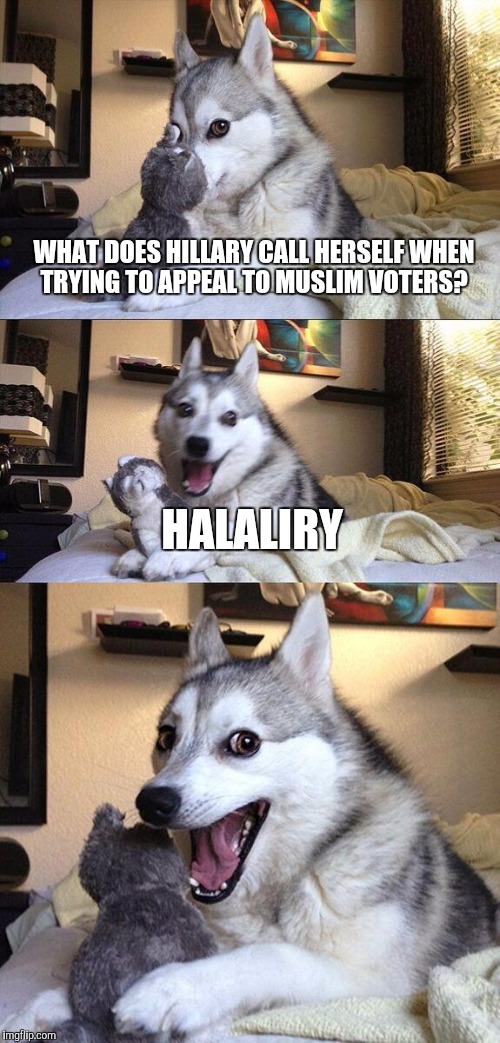 Bad Pun Dog |  WHAT DOES HILLARY CALL HERSELF WHEN TRYING TO APPEAL TO MUSLIM VOTERS? HALALIRY | image tagged in memes,bad pun dog,hillary clinton,islam,voters,election 2016 | made w/ Imgflip meme maker