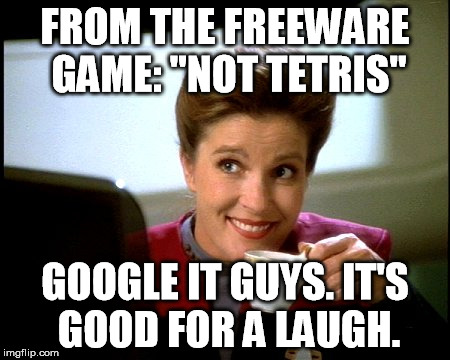 Janeway | FROM THE FREEWARE GAME: "NOT TETRIS" GOOGLE IT GUYS. IT'S GOOD FOR A LAUGH. | image tagged in janeway | made w/ Imgflip meme maker