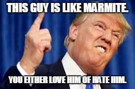 donald trump is actually Marmite | THIS GUY IS LIKE MARMITE. YOU EITHER LOVE HIM OF HATE HIM. | image tagged in donald trump,marmite | made w/ Imgflip meme maker