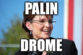 Was talking to friend about how 6-16-16 is a palindrome and came up with this | PALIN; DROME | image tagged in sarah palin,palindrome | made w/ Imgflip meme maker