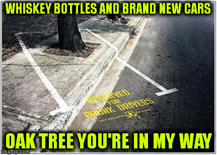 There's | WHISKEY BOTTLES AND BRAND NEW CARS; OAK TREE YOU'RE IN MY WAY | image tagged in memes,don't drink and drive | made w/ Imgflip meme maker