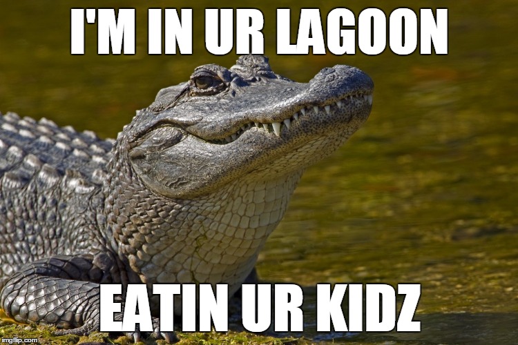 Perhaps it's all a game to them. . . | I'M IN UR LAGOON; EATIN UR KIDZ | image tagged in alligator | made w/ Imgflip meme maker