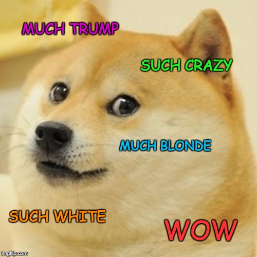 Doge Meme | MUCH TRUMP SUCH CRAZY MUCH BLONDE SUCH WHITE WOW | image tagged in memes,doge | made w/ Imgflip meme maker
