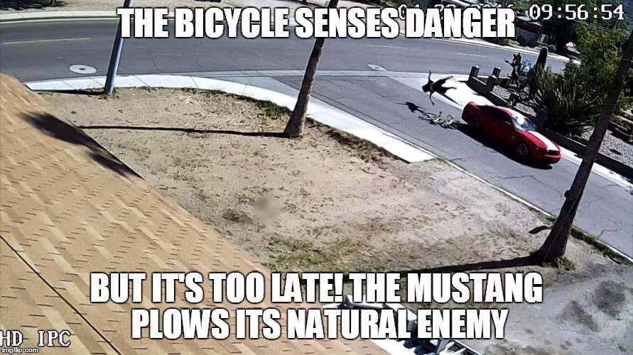 THE BICYCLE SENSES DANGER; BUT IT'S TOO LATE! THE MUSTANG PLOWS ITS NATURAL ENEMY | made w/ Imgflip meme maker