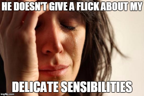 First World Problems Meme | HE DOESN'T GIVE A FLICK ABOUT MY DELICATE SENSIBILITIES | image tagged in memes,first world problems | made w/ Imgflip meme maker