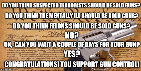 2nd Amendment | DO YOU THINK THE MENTALLY ILL SHOULD BE SOLD GUNS? DO YOU THINK SUSPECTED TERRORISTS SHOULD BE SOLD GUNS? DO YOU THINK FELONS SHOULD BE SOLD GUNS? NO? OK,  CAN YOU WAIT A COUPLE OF DAYS FOR YOUR GUN? YES? CONGRATULATIONS! YOU SUPPORT GUN CONTROL! | image tagged in 2nd amendment | made w/ Imgflip meme maker