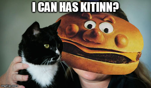 I can has kitinn? | I CAN HAS KITINN? | image tagged in cheezburger,kitinn,i can has,a happy_terd original | made w/ Imgflip meme maker