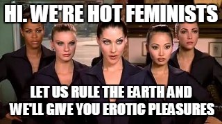 every girl's dream | HI. WE'RE HOT FEMINISTS; LET US RULE THE EARTH AND WE'LL GIVE YOU EROTIC PLEASURES | image tagged in funny memes | made w/ Imgflip meme maker
