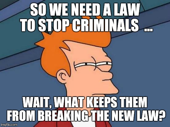 Futurama Fry | SO WE NEED A LAW TO STOP CRIMINALS 
... WAIT, WHAT KEEPS THEM FROM BREAKING THE NEW LAW? | image tagged in memes,futurama fry | made w/ Imgflip meme maker