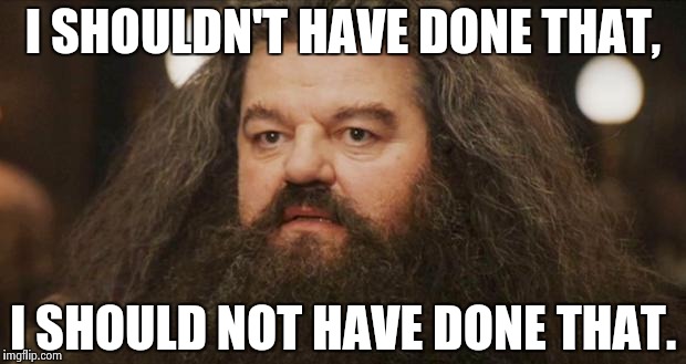 Hagrid | I SHOULDN'T HAVE DONE THAT, I SHOULD NOT HAVE DONE THAT. | image tagged in hagrid,AdviceAnimals | made w/ Imgflip meme maker