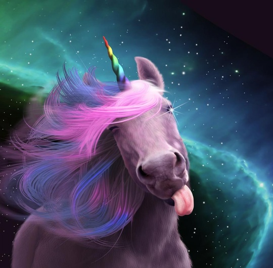 Unicorn Blank Meme Template