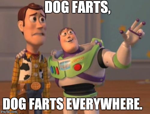 X, X Everywhere | DOG FARTS, DOG FARTS EVERYWHERE. | image tagged in memes,x x everywhere | made w/ Imgflip meme maker