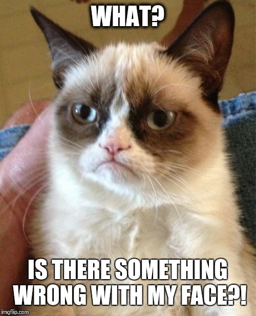 Grumpy Cat Meme | WHAT? IS THERE SOMETHING WRONG WITH MY FACE?! | image tagged in memes,grumpy cat | made w/ Imgflip meme maker