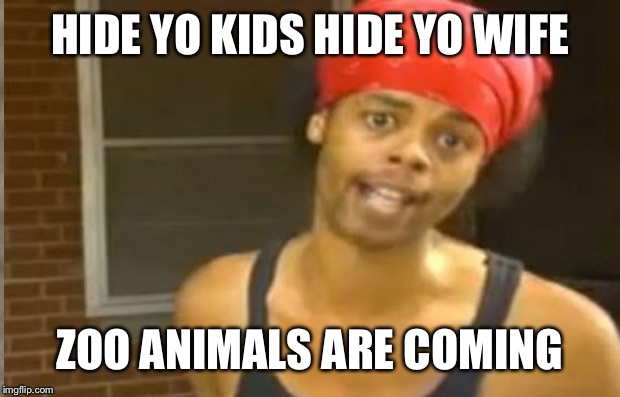 HIDE YO KIDS HIDE YO WIFE ZOO ANIMALS ARE COMING | made w/ Imgflip meme maker