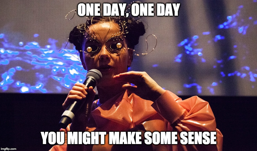 ONE DAY, ONE DAY; YOU MIGHT MAKE SOME SENSE | image tagged in bjork,pointless | made w/ Imgflip meme maker