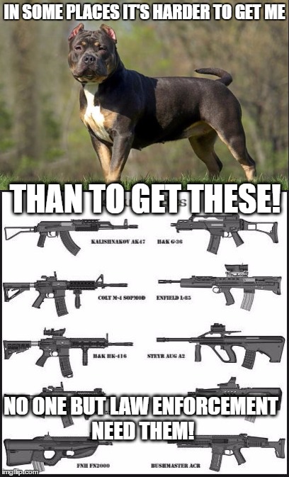 IN SOME PLACES IT'S HARDER TO GET ME; THAN TO GET THESE! NO ONE BUT LAW ENFORCEMENT NEED THEM! | image tagged in gun ban,gun law,anti gun,ban guns,assault gun ban,pit bulls | made w/ Imgflip meme maker