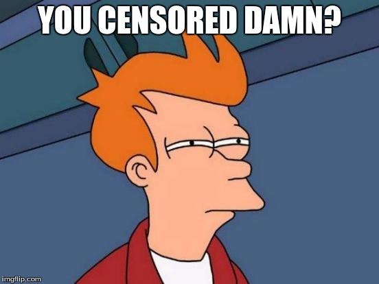 Futurama Fry Meme | YOU CENSORED DAMN? | image tagged in memes,futurama fry | made w/ Imgflip meme maker