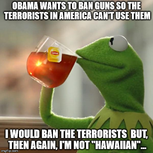 But That's None Of My Business | OBAMA WANTS TO BAN GUNS SO THE TERRORISTS IN AMERICA CAN'T USE THEM; I WOULD BAN THE TERRORISTS  BUT, THEN AGAIN, I'M NOT "HAWAIIAN"... | image tagged in memes,but thats none of my business,kermit the frog | made w/ Imgflip meme maker