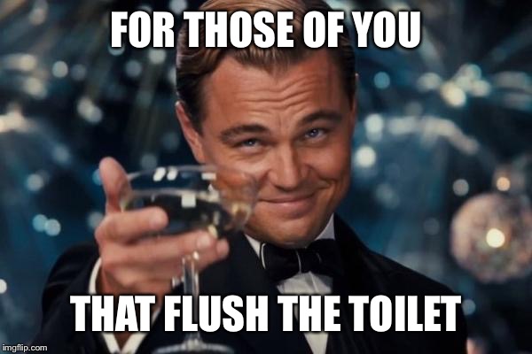Leonardo Dicaprio Cheers Meme | FOR THOSE OF YOU; THAT FLUSH THE TOILET | image tagged in memes,leonardo dicaprio cheers | made w/ Imgflip meme maker