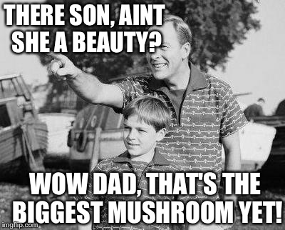 From cave to knave! | THERE SON, AINT SHE A BEAUTY? WOW DAD, THAT'S THE BIGGEST MUSHROOM YET! | image tagged in memes,look son | made w/ Imgflip meme maker