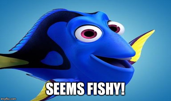 SEEMS FISHY! | made w/ Imgflip meme maker