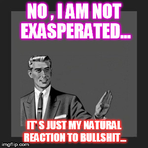 Kill Yourself Guy | NO , I AM NOT EXASPERATED... IT' S JUST MY NATURAL REACTION TO BULLSHIT... | image tagged in memes,kill yourself guy bullshit | made w/ Imgflip meme maker