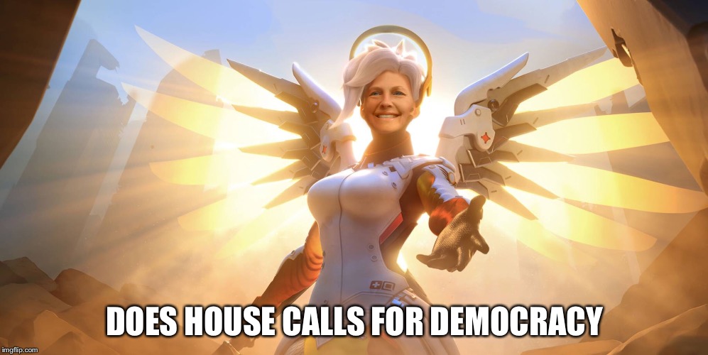 House Call | DOES HOUSE CALLS FOR DEMOCRACY | image tagged in democracy,jill stein,election 2016,white house,green party,doctor | made w/ Imgflip meme maker