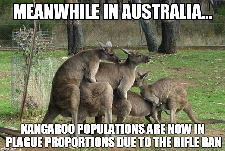 KANGAROO POPULATIONS ARE NOW IN PLAGUE PROPORTIONS DUE TO THE RIFLE BAN | image tagged in com'on england | made w/ Imgflip meme maker