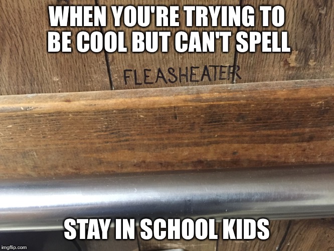 Coolness FAIL | WHEN YOU'RE TRYING TO BE COOL BUT CAN'T SPELL; STAY IN SCHOOL KIDS | image tagged in bathroom stall,graffiti | made w/ Imgflip meme maker
