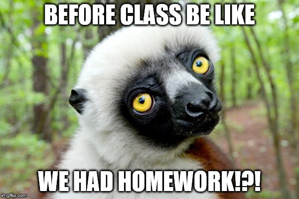 BEFORE CLASS BE LIKE; WE HAD HOMEWORK!?! | image tagged in funny memes | made w/ Imgflip meme maker