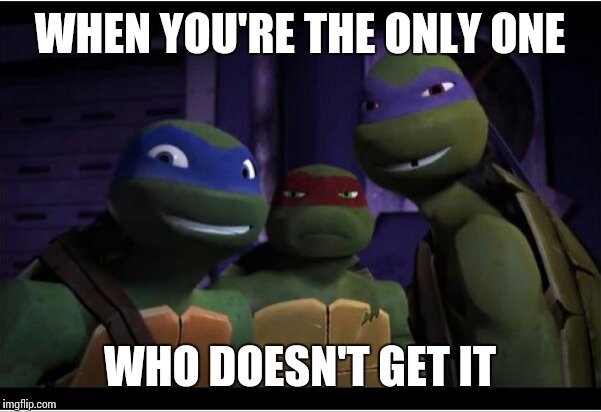 TMNT | WHEN YOU'RE THE ONLY ONE WHO DOESN'T GET IT | image tagged in tmnt | made w/ Imgflip meme maker