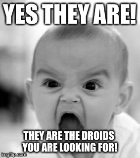 Angry Baby | YES THEY ARE! THEY ARE THE DROIDS YOU ARE LOOKING FOR! | image tagged in memes,angry baby | made w/ Imgflip meme maker
