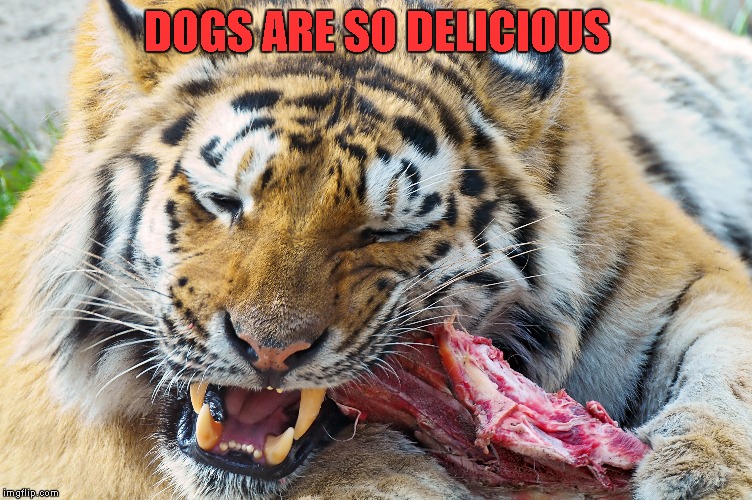 DOGS ARE SO DELICIOUS | made w/ Imgflip meme maker