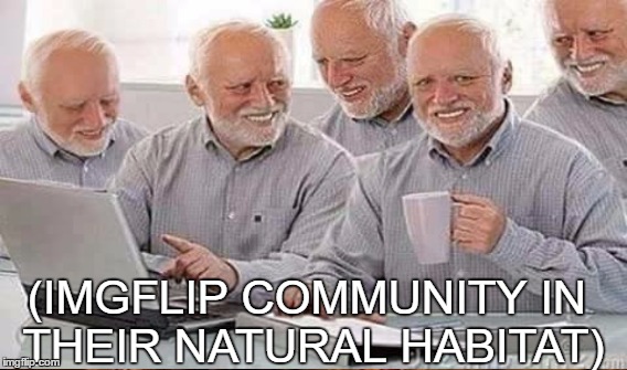 (IMGFLIP COMMUNITY IN THEIR NATURAL HABITAT) | made w/ Imgflip meme maker