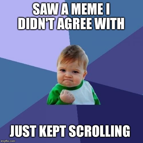 Next Step Real Life.  | SAW A MEME I DIDN'T AGREE WITH; JUST KEPT SCROLLING | image tagged in memes,success kid | made w/ Imgflip meme maker