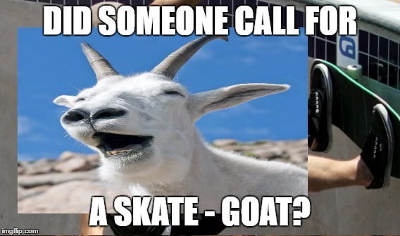 Who needs scapegoats, we have skategoats | DID SOMEONE CALL FOR; A SKATE - GOAT? | image tagged in goat,skating,pun | made w/ Imgflip meme maker