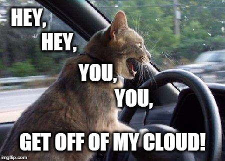 The Rolling Stones | HEY, HEY, YOU, YOU, GET OFF OF MY CLOUD! | image tagged in catsale,the rolling stones,cats,music | made w/ Imgflip meme maker