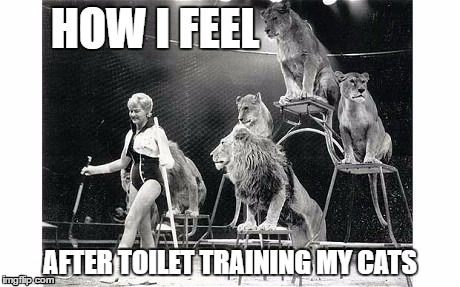 HOW I FEEL; AFTER TOILET TRAINING MY CATS | image tagged in cats,toilet training,big cats,circus trainer,animal trainer,exotic cats | made w/ Imgflip meme maker