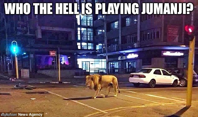 WHO THE HELL IS PLAYING JUMANJI? | image tagged in jumanji lion | made w/ Imgflip meme maker