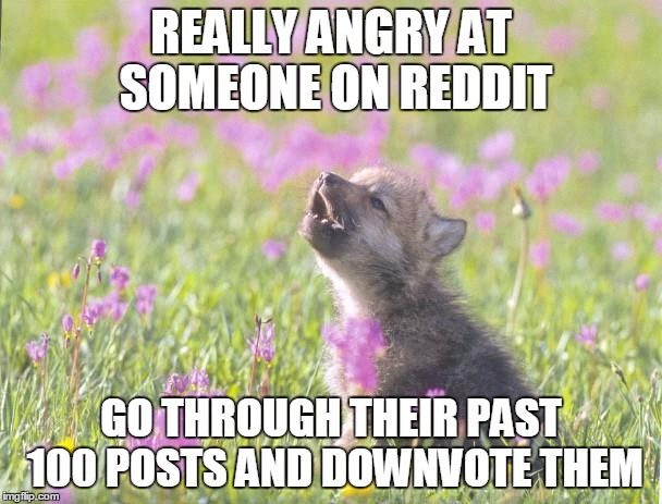 Baby Insanity Wolf | REALLY ANGRY AT SOMEONE ON REDDIT; GO THROUGH THEIR PAST 100 POSTS AND DOWNVOTE THEM | image tagged in memes,baby insanity wolf | made w/ Imgflip meme maker