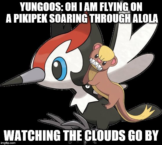 Yun-Piki | YUNGOOS: OH I AM FLYING ON A PIKIPEK SOARING THROUGH ALOLA; WATCHING THE CLOUDS GO BY | image tagged in yun-piki | made w/ Imgflip meme maker