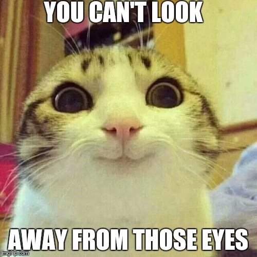 Well, hello there | YOU CAN'T LOOK; AWAY FROM THOSE EYES | image tagged in well hello there | made w/ Imgflip meme maker