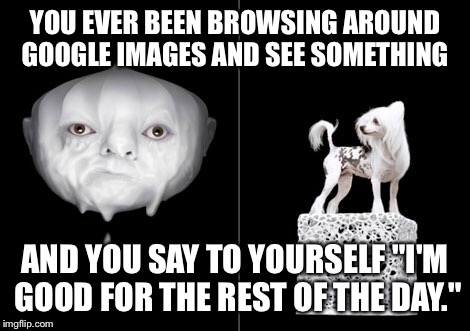 Internet is strange  | YOU EVER BEEN BROWSING AROUND GOOGLE IMAGES AND SEE SOMETHING; AND YOU SAY TO YOURSELF "I'M GOOD FOR THE REST OF THE DAY." | image tagged in strange,creepy,nightmares | made w/ Imgflip meme maker
