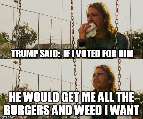 First World Stoner Problems | TRUMP SAID:  IF I VOTED FOR HIM; HE WOULD GET ME ALL THE BURGERS AND WEED I WANT | image tagged in memes,first world stoner problems | made w/ Imgflip meme maker